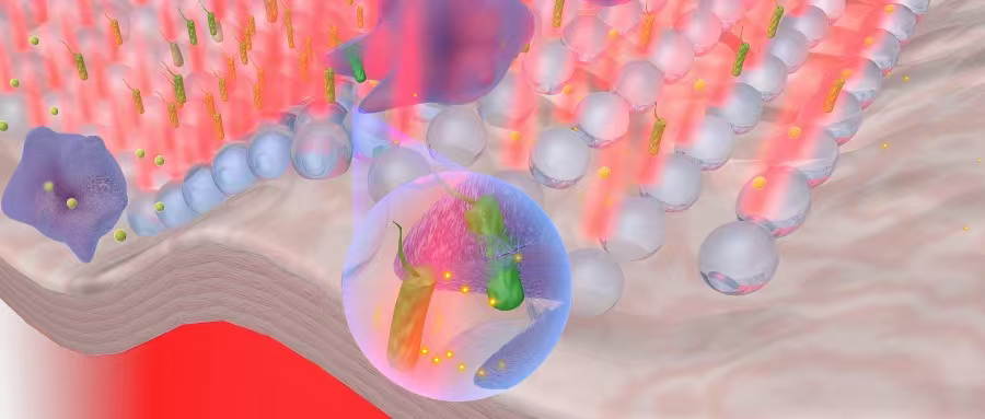 柔性阵列.png 柔性阵列.png